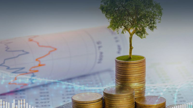 ISO认证咨询与认证：本质区别及选择要点